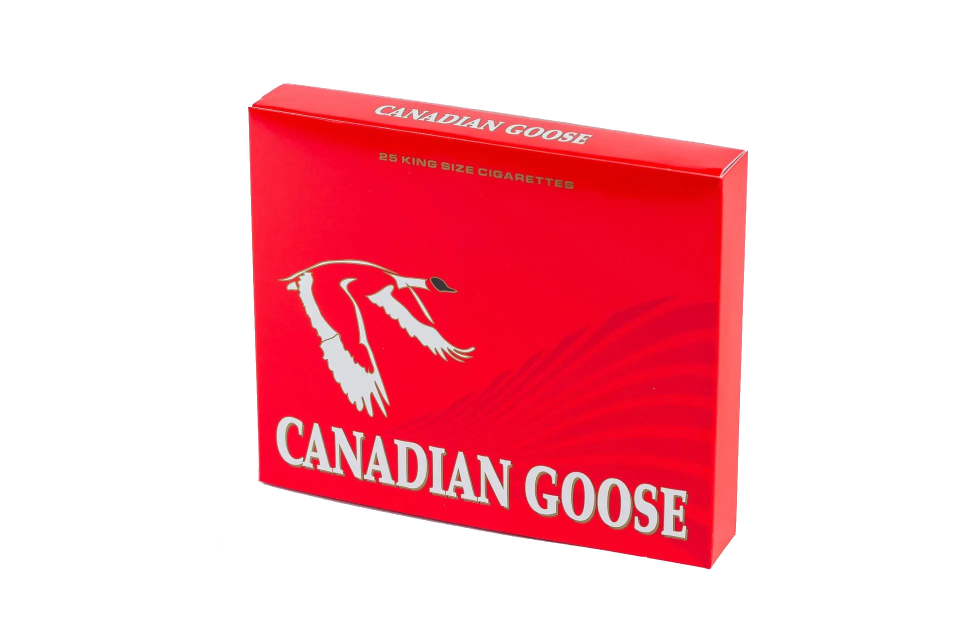 Canadian-Goose-1 - Copy