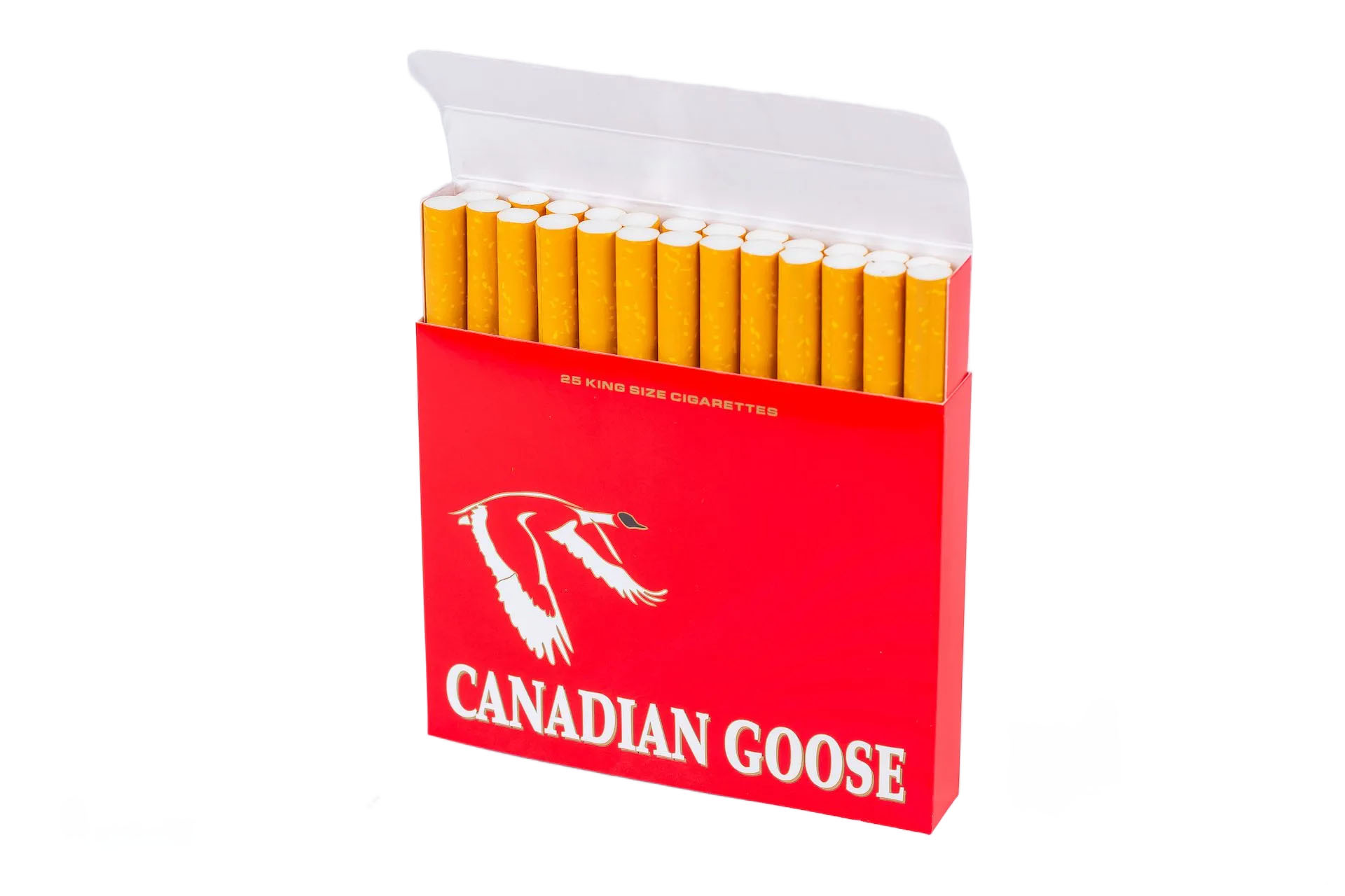 Canadian-Goose-2